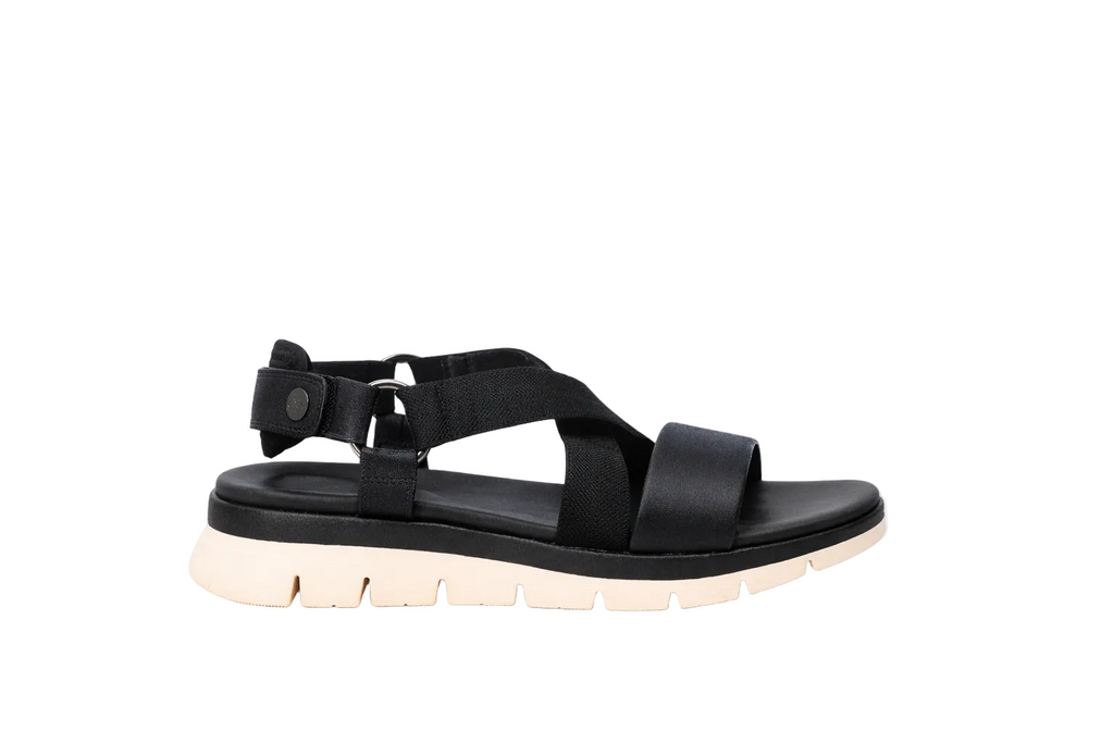 XTI 142703 - Casual Footwear