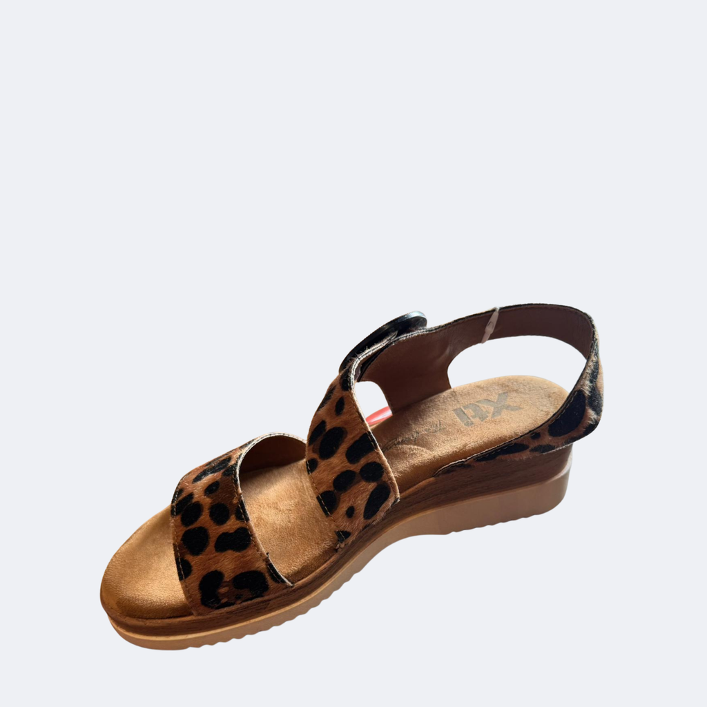 XTI - 144597 - Wedge
