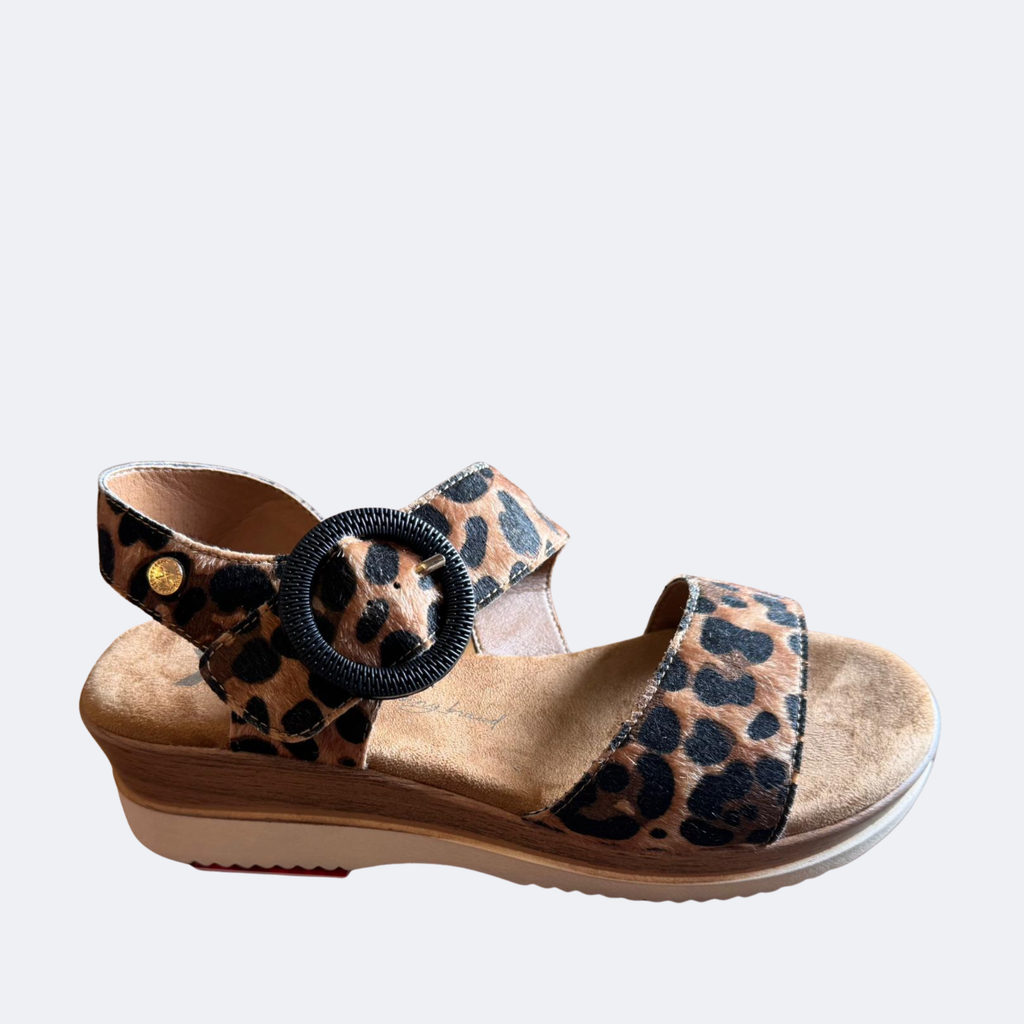 XTI - 144597 - Wedge